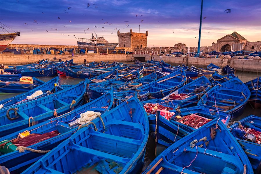 Day trip to Essaouira, the magic of Mogador