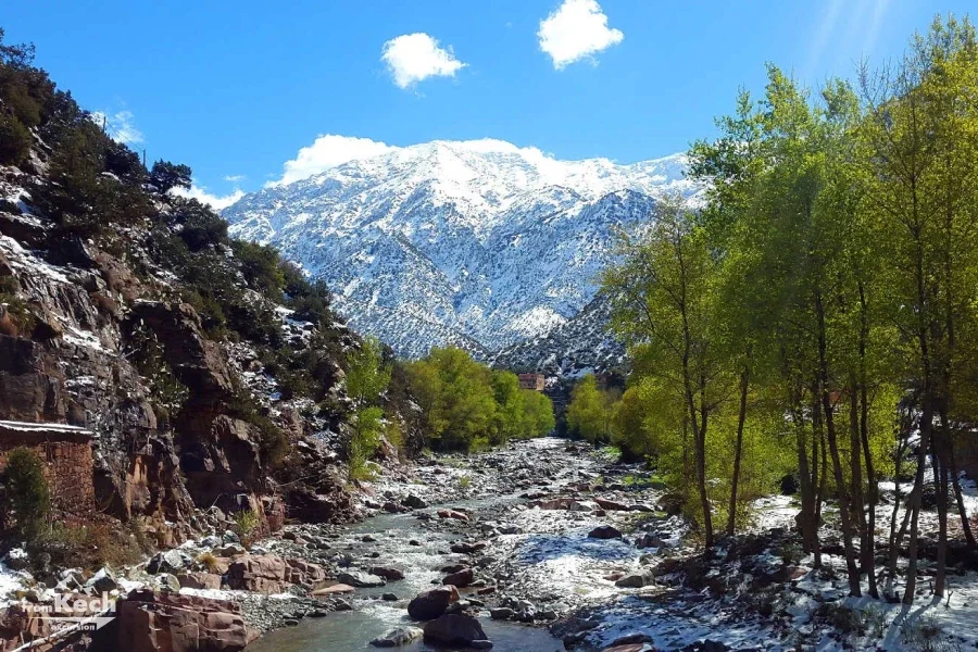 Atlas Mountains, Four Valleys & Waterfalls Tour