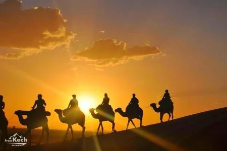 From Marrakech : Camel Ride & Sunset Dinner in Agafay Desert